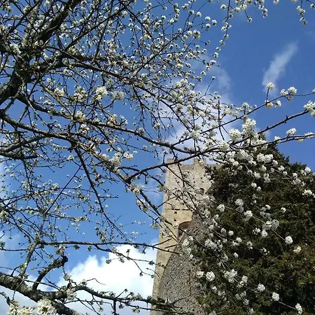 La Casina דירה סטיה