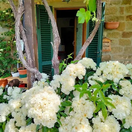 La Casina Apartment